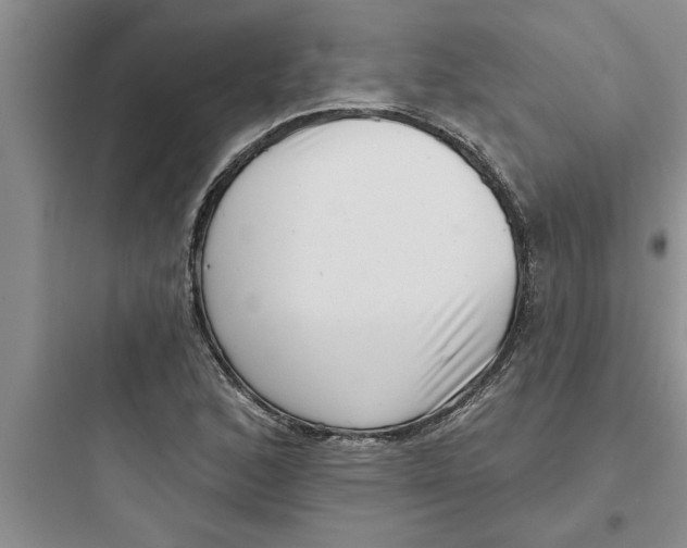 X0000097611168200803211716