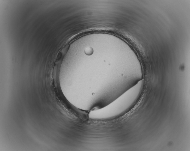 X0000097611169200803211716