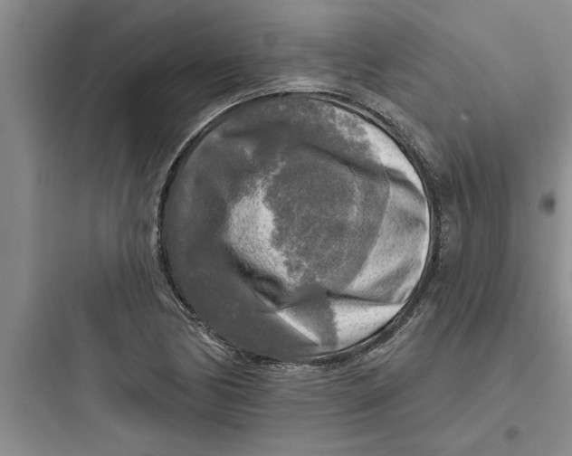 X0000097611170200803211716