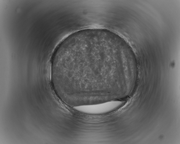 X0000097611171200803211716