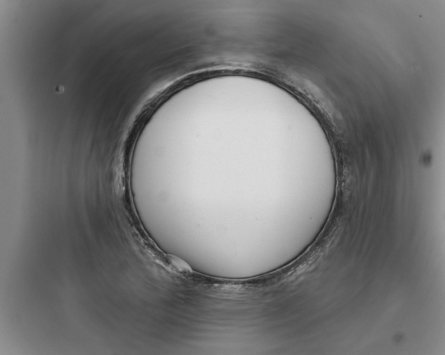 X0000097611172200803211716