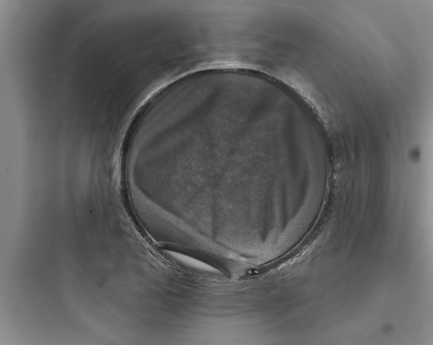 X0000097611173200803211716