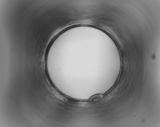 X0000097611176200803211716