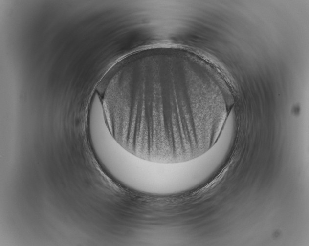 X0000097611177200803211716