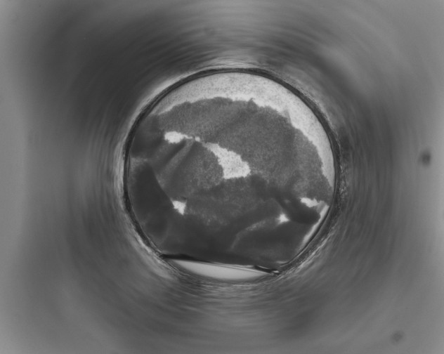 X0000097611179200803211716