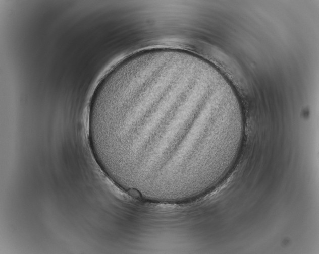 X0000097611180200803211716