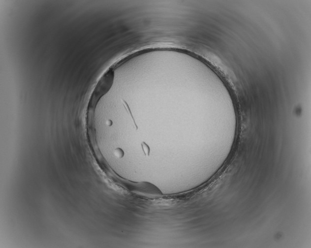 X0000097611181200803211716