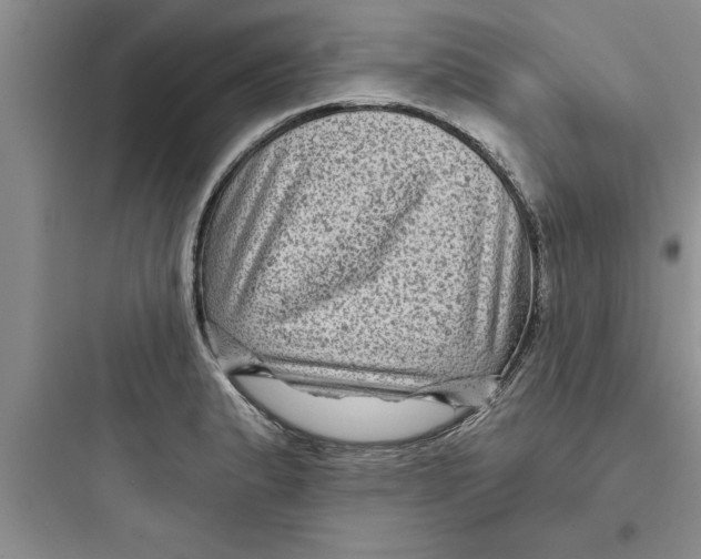 X0000097611183200803211716