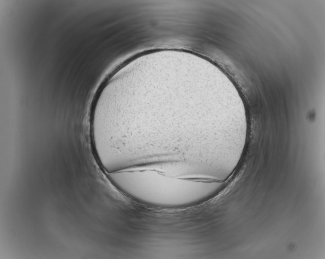 X0000097611184200803211716