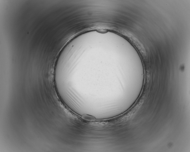 X0000097611185200803211716