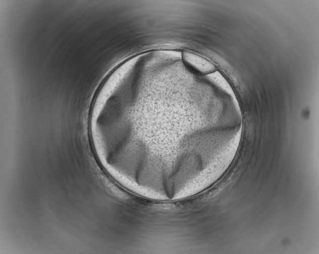 X0000097611186200803211716