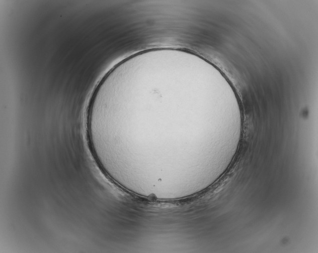 X0000097611187200803211716