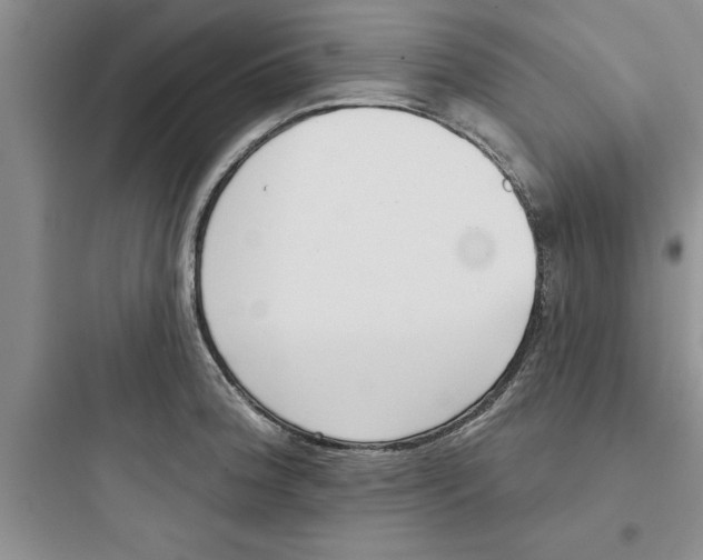 X0000097611188200803211716