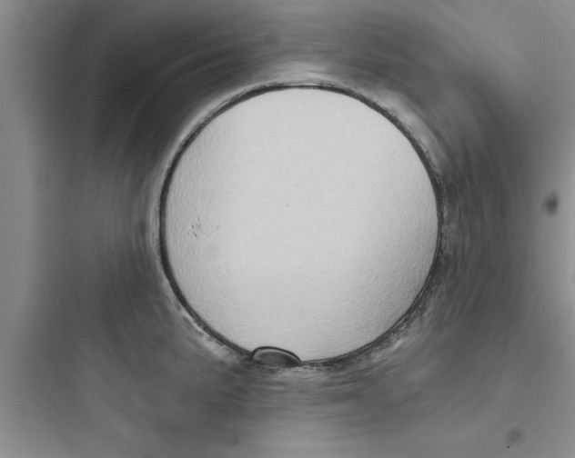 X0000097611191200803211716