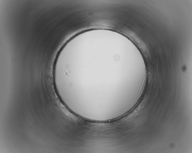 X0000097611192200803211716