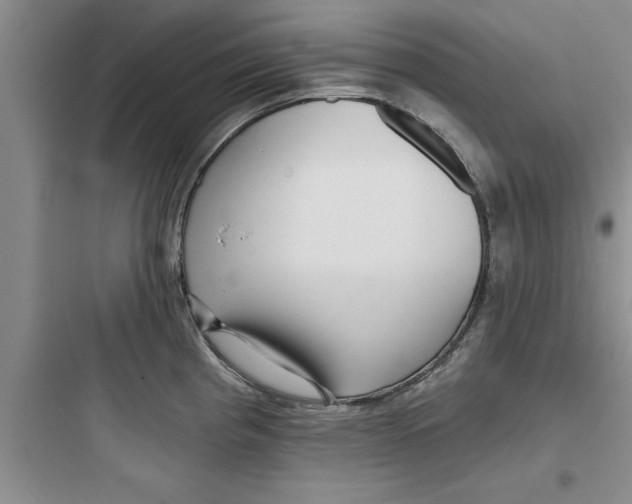 X0000097611193200803211716