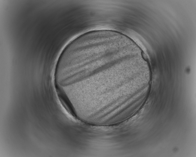 X0000097611197200803211716