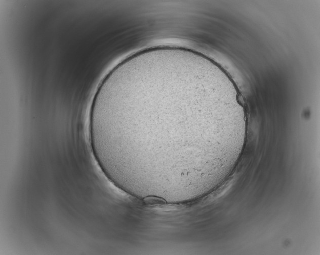 X0000097611199200803211716