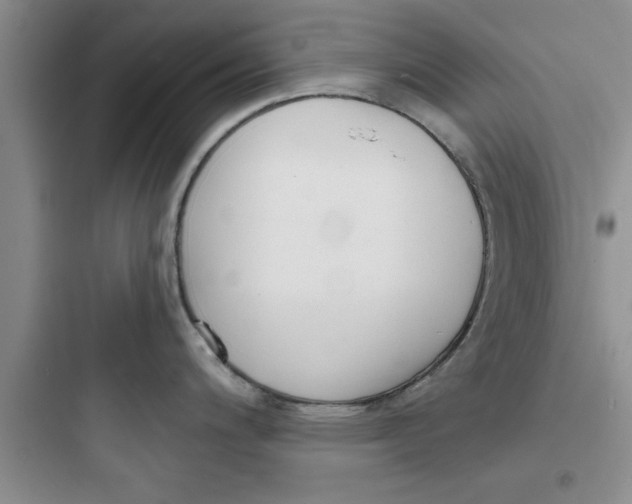 X0000097611200200803211716