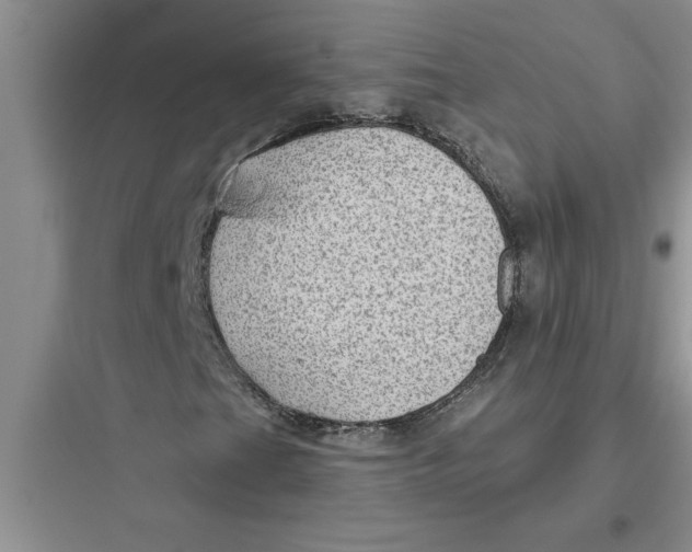 X0000097611201200803211715