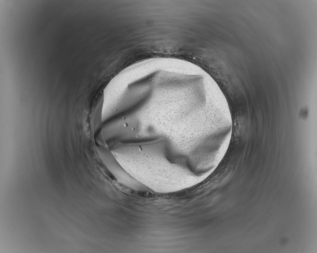 X0000097611202200803211715