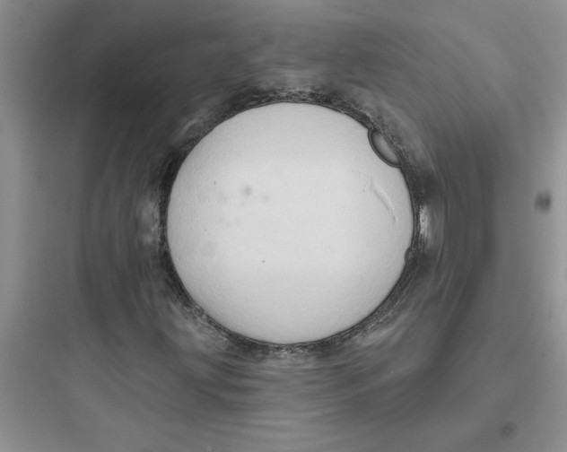 X0000097611203200803211715