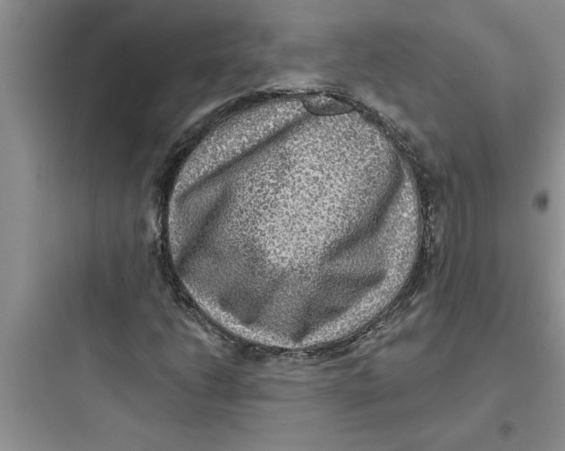 X0000097611206200803211715