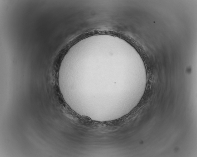 X0000097611207200803211715