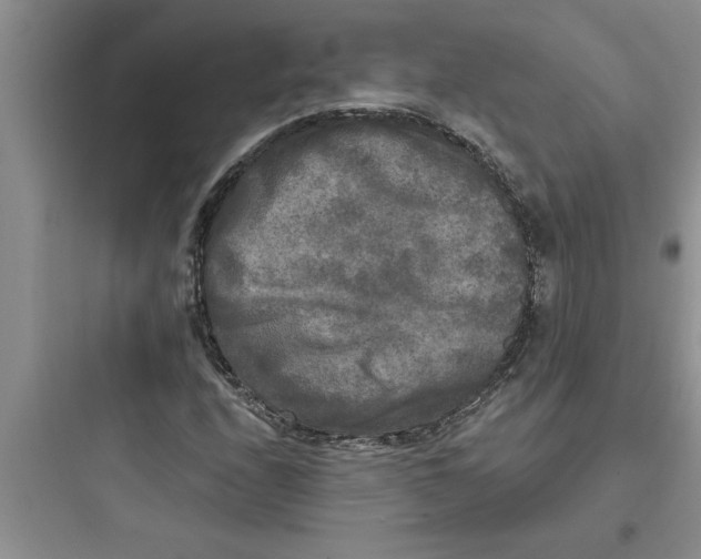 X0000097611208200803211715