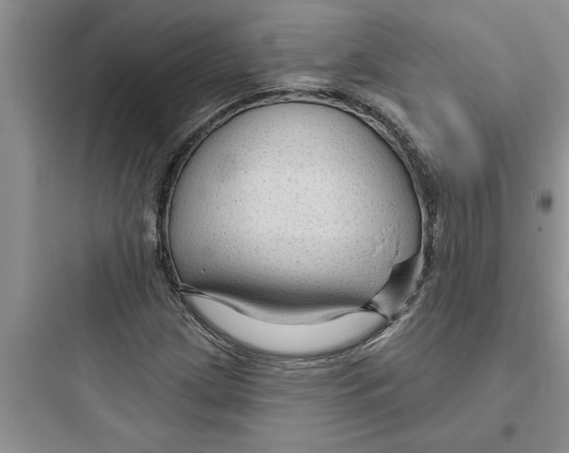 X0000097611209200803211715