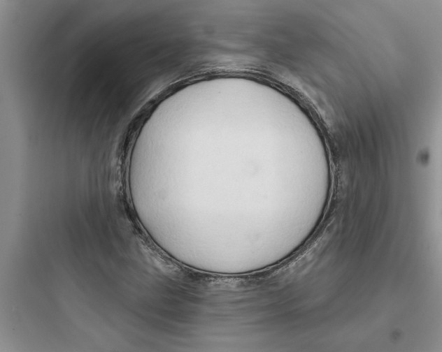 X0000097611211200803211715