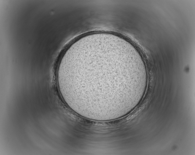 X0000097611215200803211715