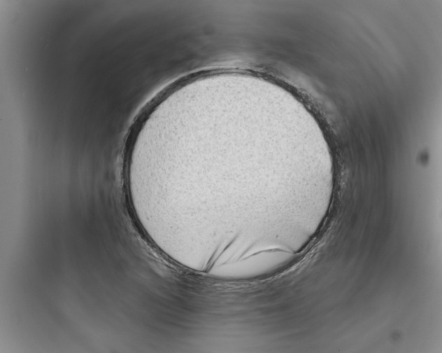 X0000097611216200803211715