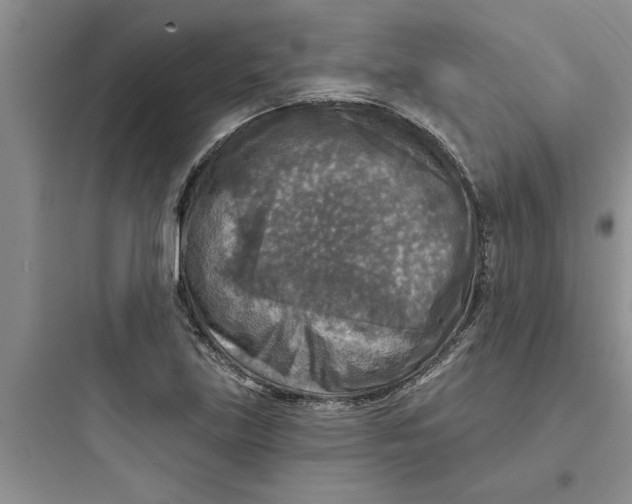 X0000097611219200803211715