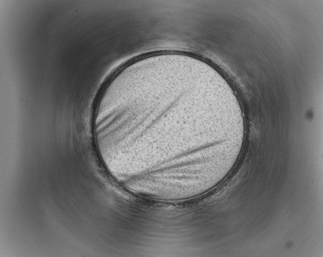 X0000097611222200803211715