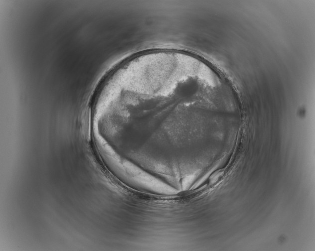 X0000097611223200803211715