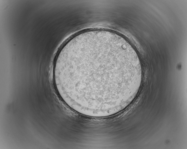 X0000097611224200803211715