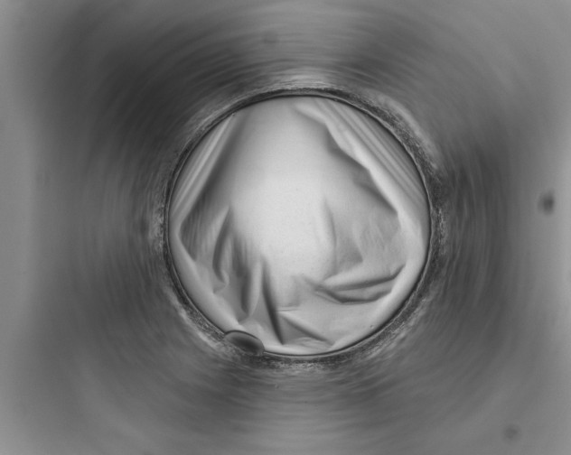 X0000097611225200803211715