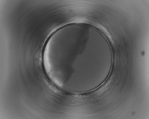 X0000097611226200803211715