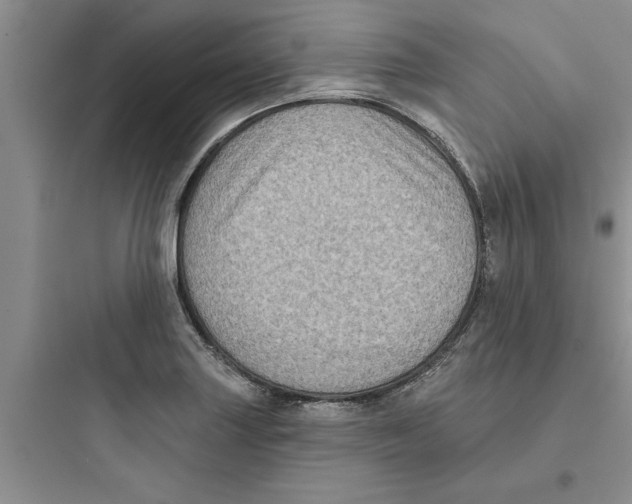 X0000097611227200803211715