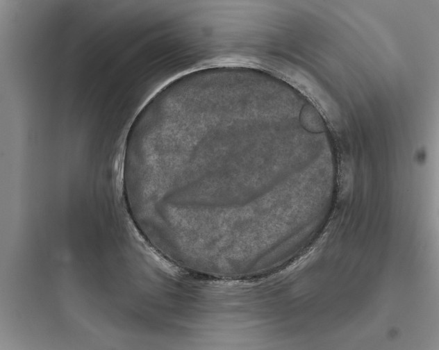 X0000097611228200803211715