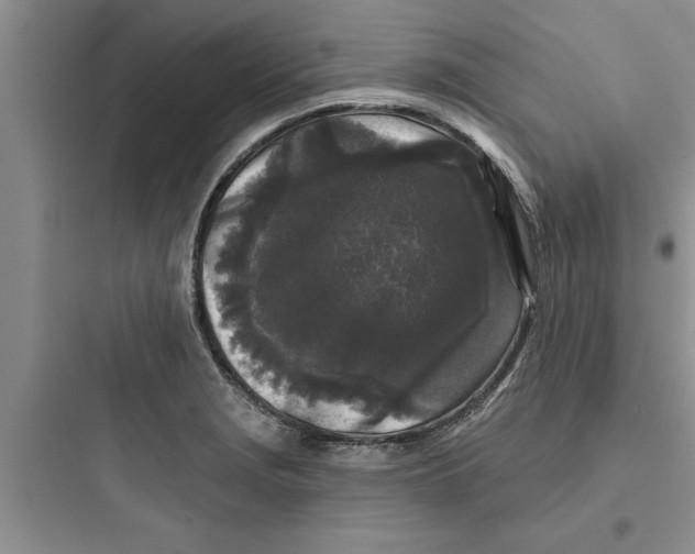 X0000097611229200803211715