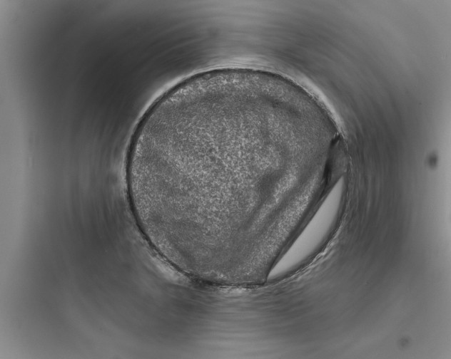 X0000097611230200803211715