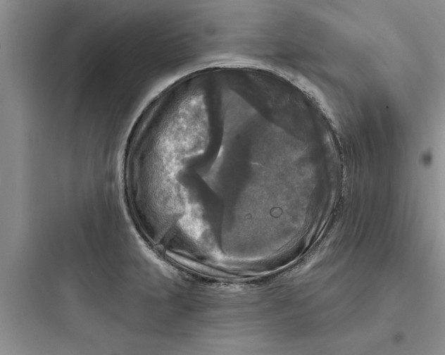 X0000097611231200803211715