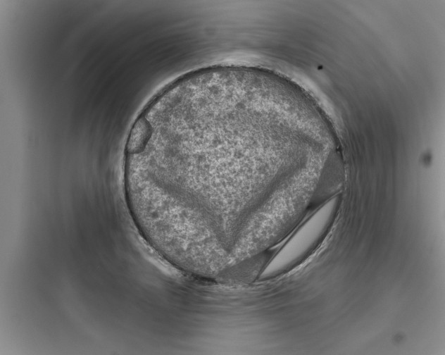 X0000097611232200803211715