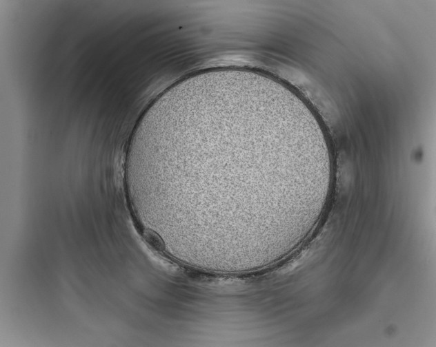 X0000097611233200803211715