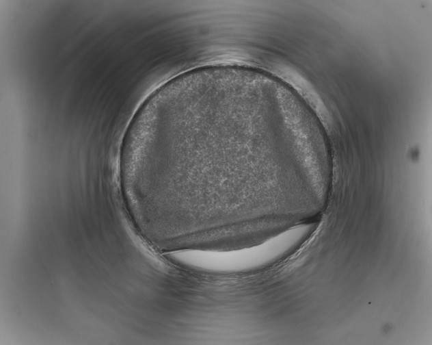 X0000097611234200803211715