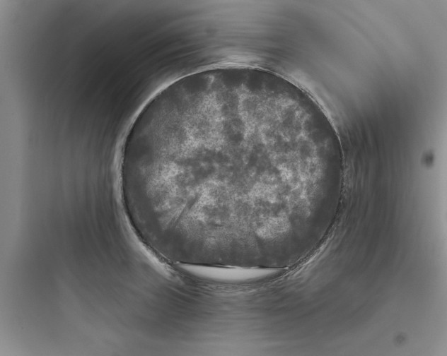 X0000097611235200803211715