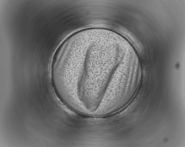 X0000097611236200803211715