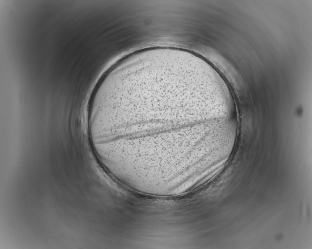 X0000097611238200803211715